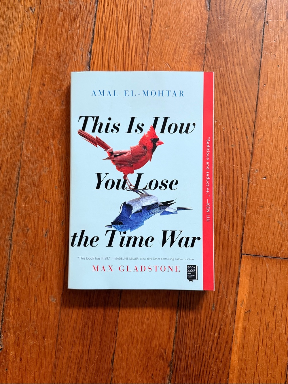 This is How You Lose the Time War book